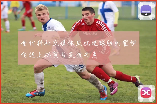 舍什科社交媒体庆祝进球胜利霍伊伦送上祝贺与友谊之声